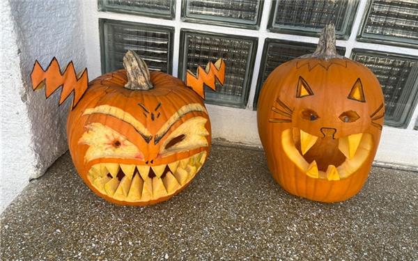 Kürbisfotos: Das Gäu schnitzt zu Halloween