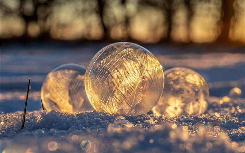 Fotos der „Gäubote“-Leser: So schön ist der Winter 2026