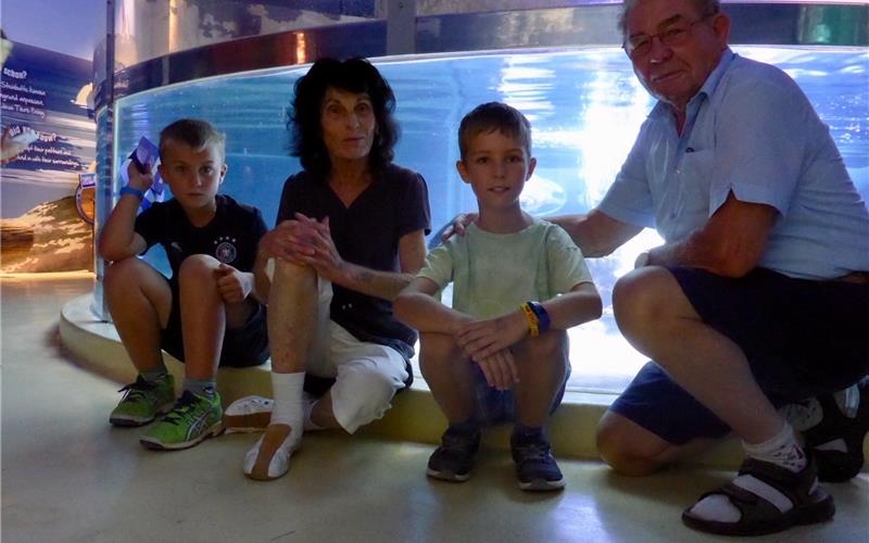 Erinnerungen an viele schöne Ausflüge 