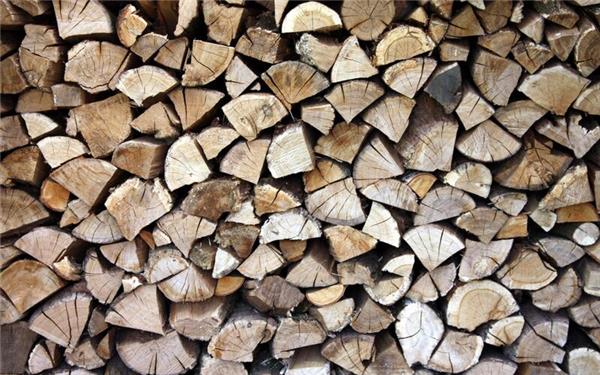 Brennholz aus dem Herrenberger Stadtwald: 37 Flächenlose und 116 Polter bei Versteigerung