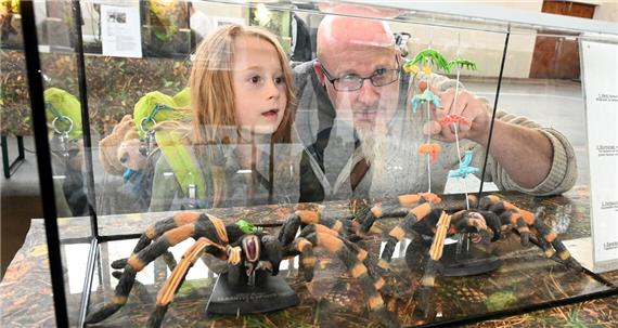 Zwischen Schaudern und Staunen