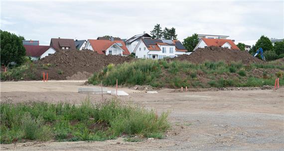 Schattendasein auf dem eigenen Grundstück?