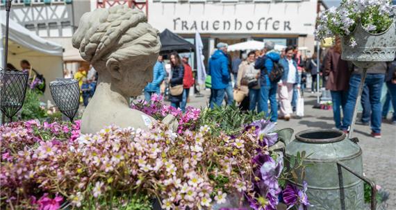 Das Leben geht wieder los