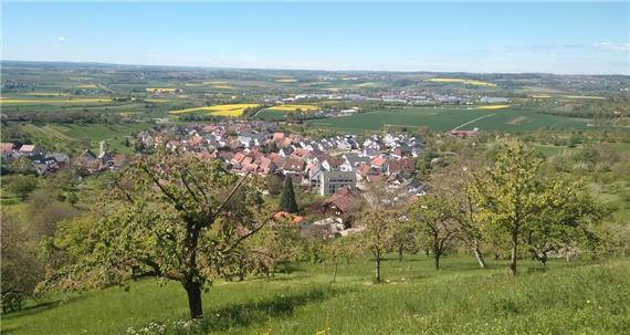 Zwischen Blütencafé und Frostnächten