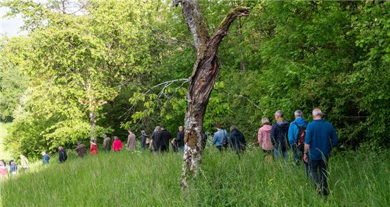 Bald tierische Landschaftspfleger im Tal