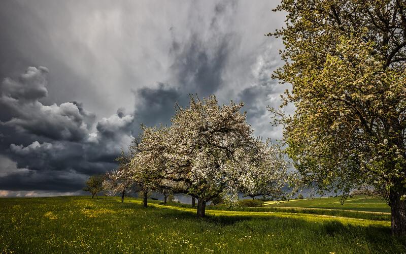 Unwetterwarnung: Schwere Gewitter mit Starkregen und Hagel möglich 