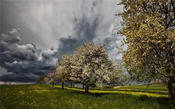 Unwetterwarnung: Schwere Gewitter mit Starkregen und Hagel möglich