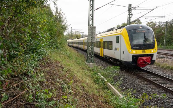 Fahrgast schlägt und kratzt Kontrolleur im Zug