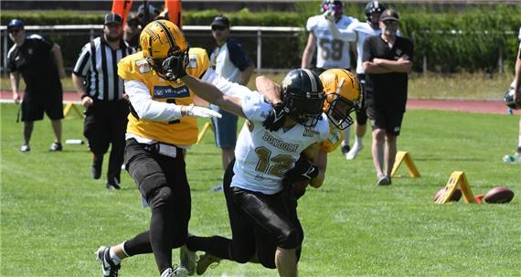 Auch Bulldogs können die Bulls nicht stoppen