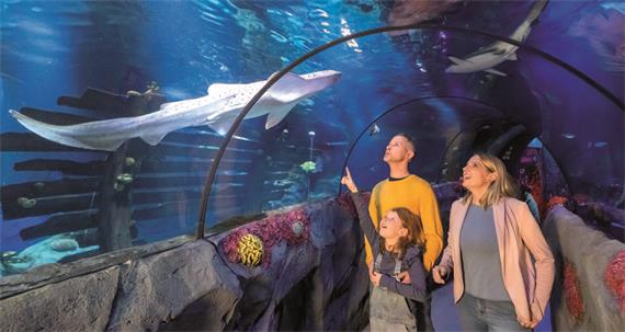 „Gäubote“-Familien-Tour: Eintauchen in die Unterwasserwelt
