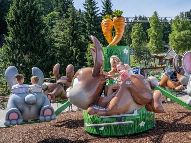 „Gäubote“-Familien-Tour: Zwei Schwarzwaldziele locken mit Abenteuer 
