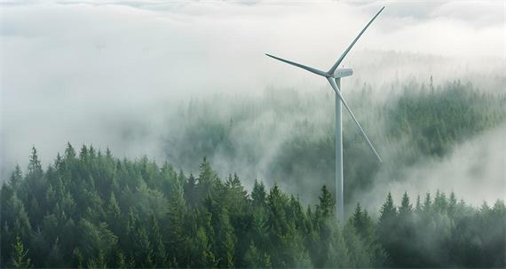 Vorerst keine Windräder im Stadtwald