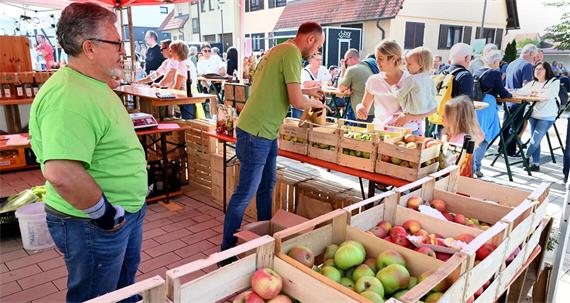 Ein bisschen wie im Paradies