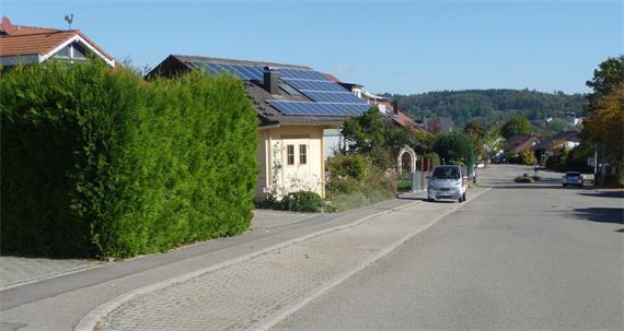 15 neue Bäume in der Nelkenstraße