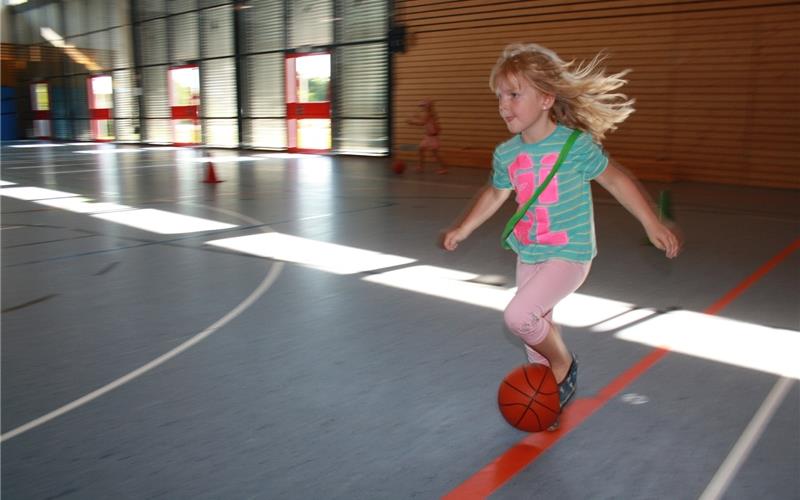 Wenn der Holzreifen zur Hundeleine wird Wenn der Holzreifen zur Hundeleine wird