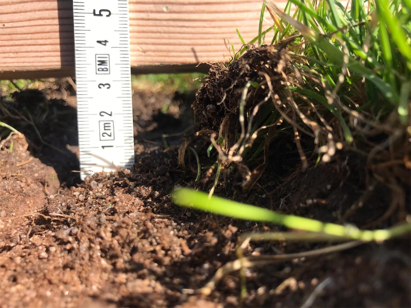 Rasenteppich ist nach Pokalspiel durchlöchert 