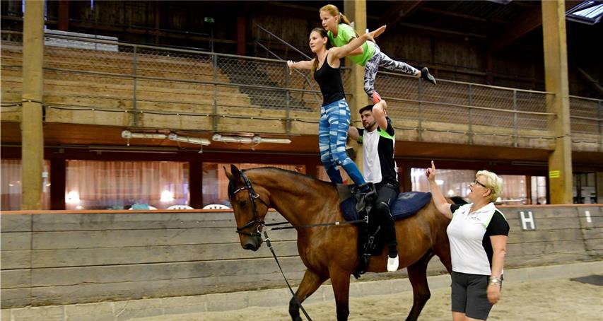 Wurfzwerge wirbeln über dem Pferderücken 
