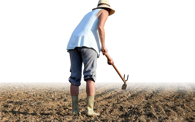 Vision von autonom agierenden Roboterflotten 