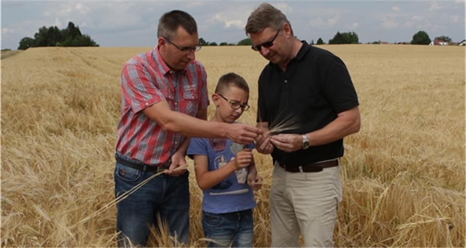 Björn Broß, sein Sohn Benjamin und Eberhard Haizmann (von links) begutachten Sommergerste, kurz bevor sie geerntet wurdeGB-Foto: Bäuerle