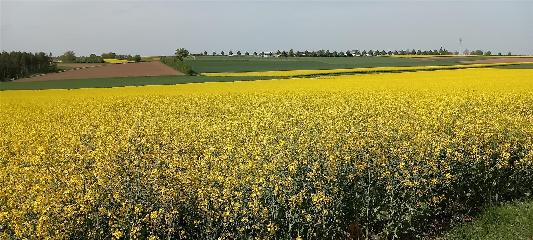 Blick auf Deckenpfronn.  Von Klaus Pfisterer aus Herrenberg.