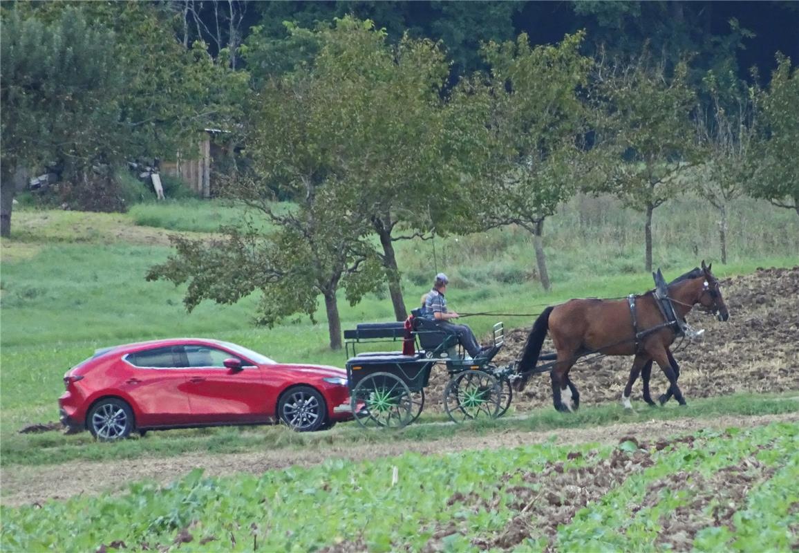 Blick in die Zukunft, sagt Elisabeth Sturm zu diesem Foto, das sie in Rohrau gem...