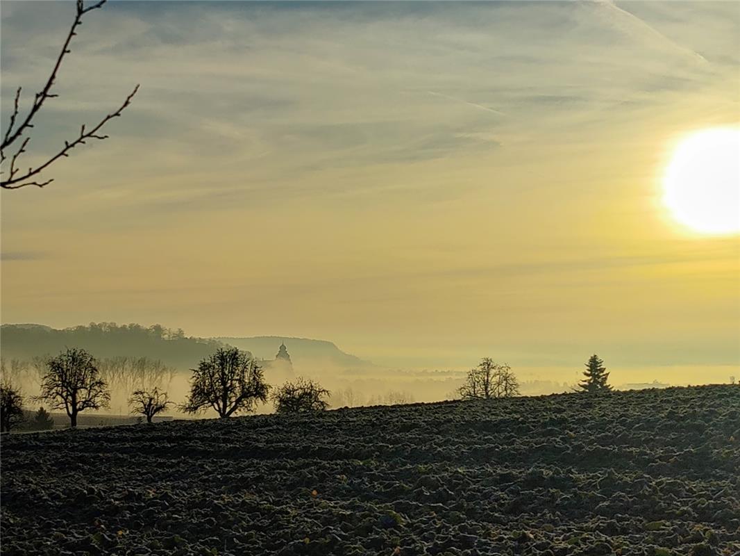 Blick von den Kuppinger Feldern nach Herrenberg, von Eva Althoff-Nüßle.