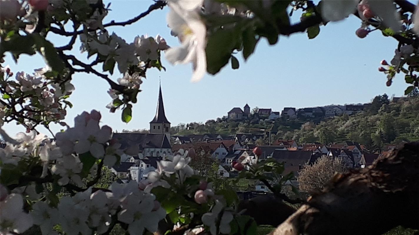 Blühender Rahmen für die Kirchen Mönchberg und Kayh. Von Renate Schmid aus Herre...