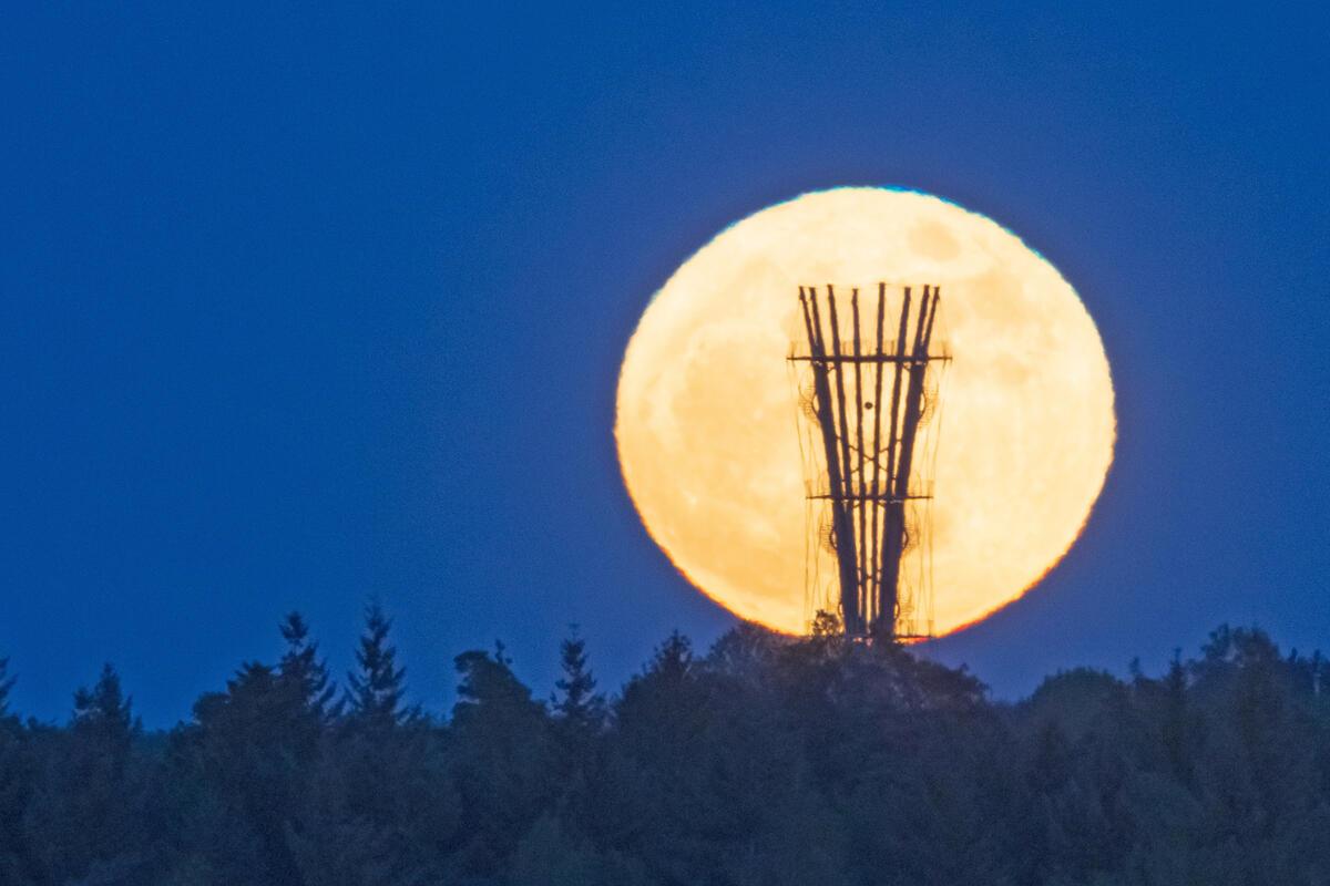 Blumenmond zum 1. Mai am Schönbuchturm.  Von Hans-Günter Just aus Herrenberg.