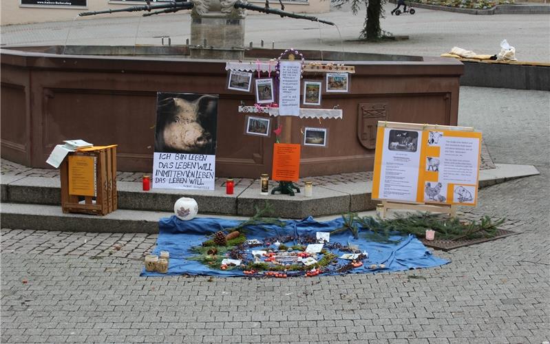 Bündnis „mensch fair tier“ mit Mahnwache am Marktbrunnen