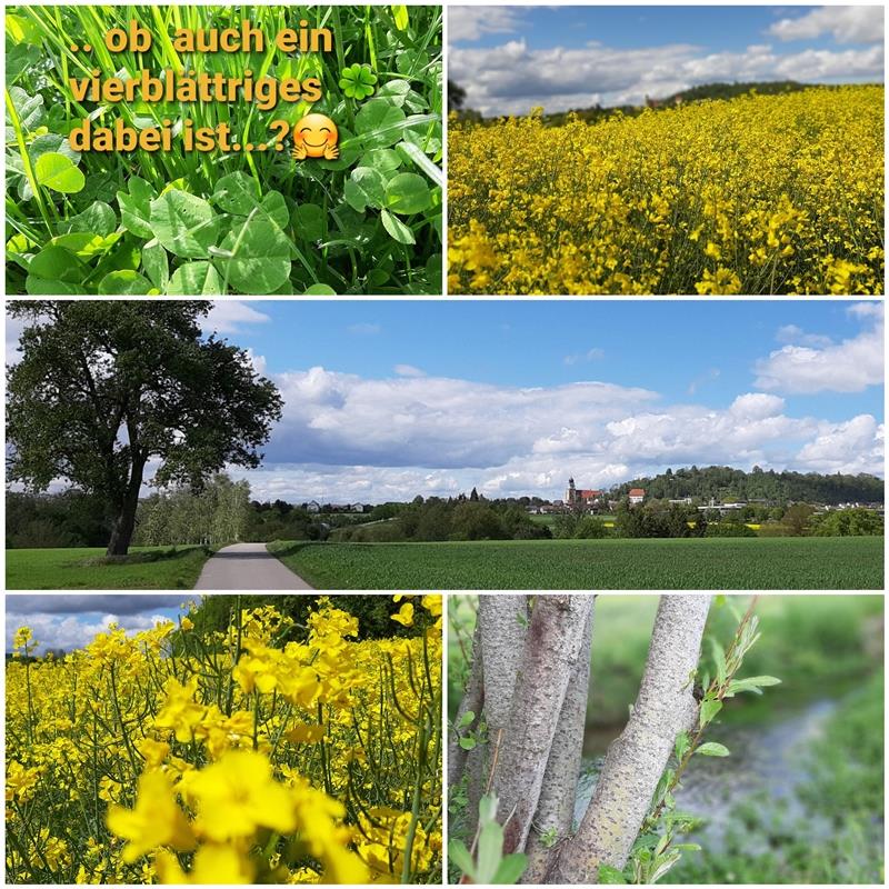 Christine Lutz hat eine Collage vom ihrem Spaziergang am Pfingssonntag zwischen ...