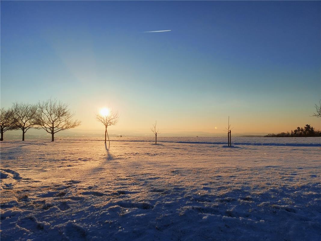 Da ist die Sonne wohl im Baum festgefroren, stellt die Herrenbergerin Eveline Wa...