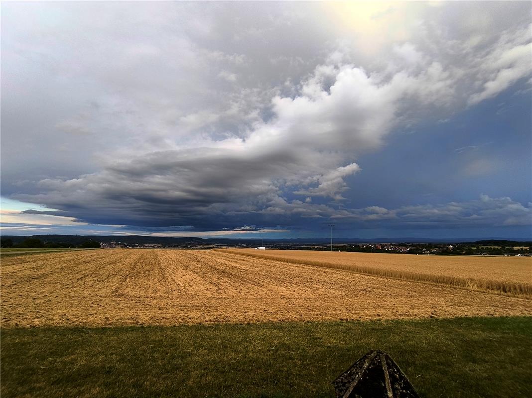 Da könnte was kommen.  Von Ruth Fahrbach aus Herrenberg-Haslach.