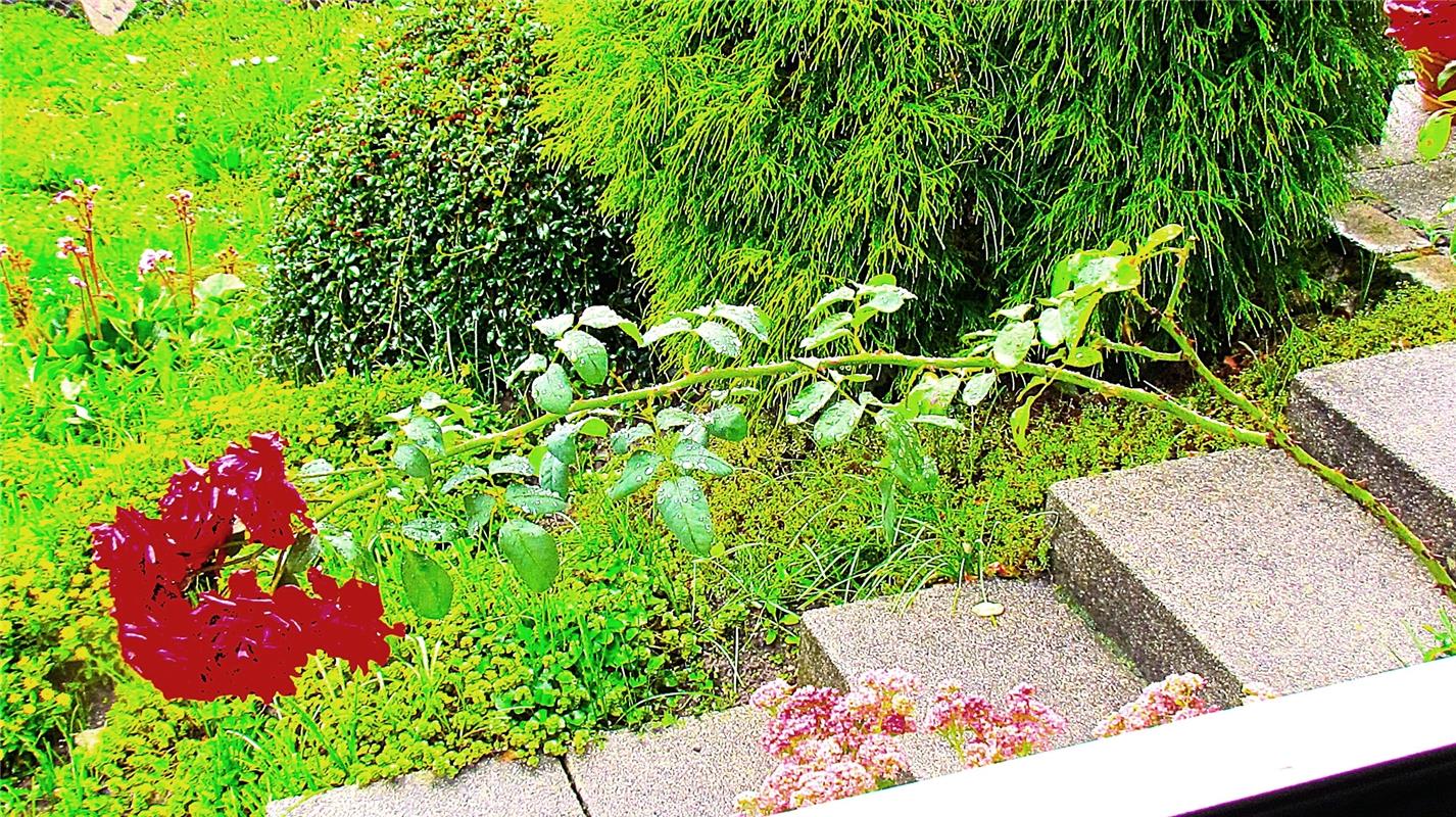 Da legst de nieder bei deeeem Wetter!!!!  Von Frank Winter aus Nebringen.