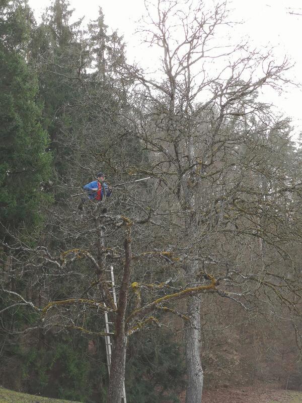„Da will einer hoch hinaus!“  Von Ursula Schmid aus Rohrau.