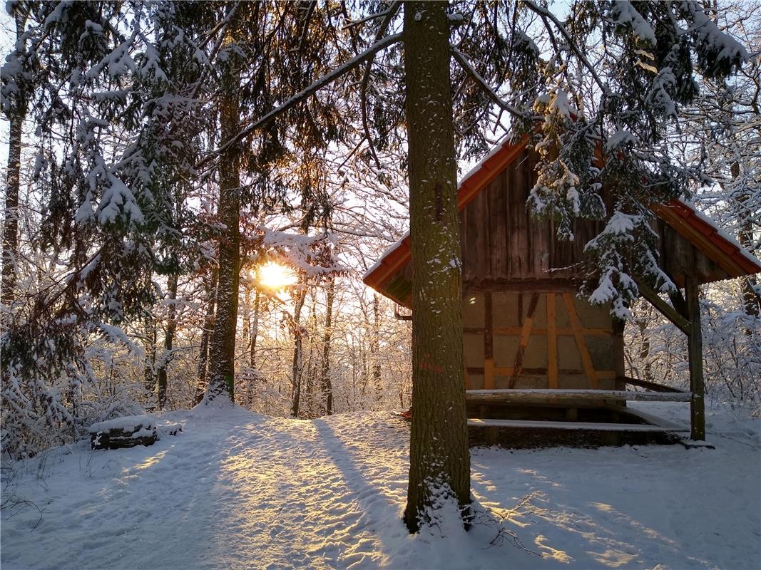 Dagmar Weber ist beim Herrenberger Waldfriedhof in das Wintermärchen namens Schö...