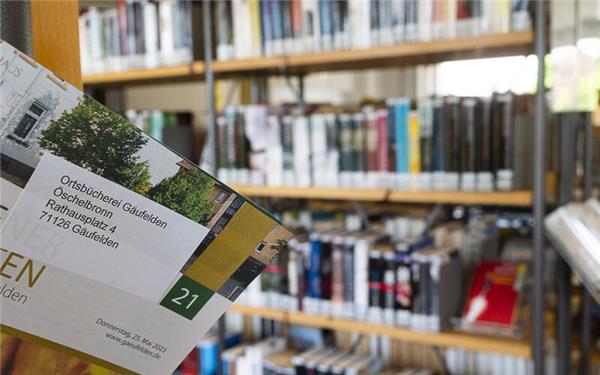 Das Angebot der Bücherei in Gäufelden kann sich gut sehen – und lesen – lassen.GB-Foto (Archiv): Schmidt