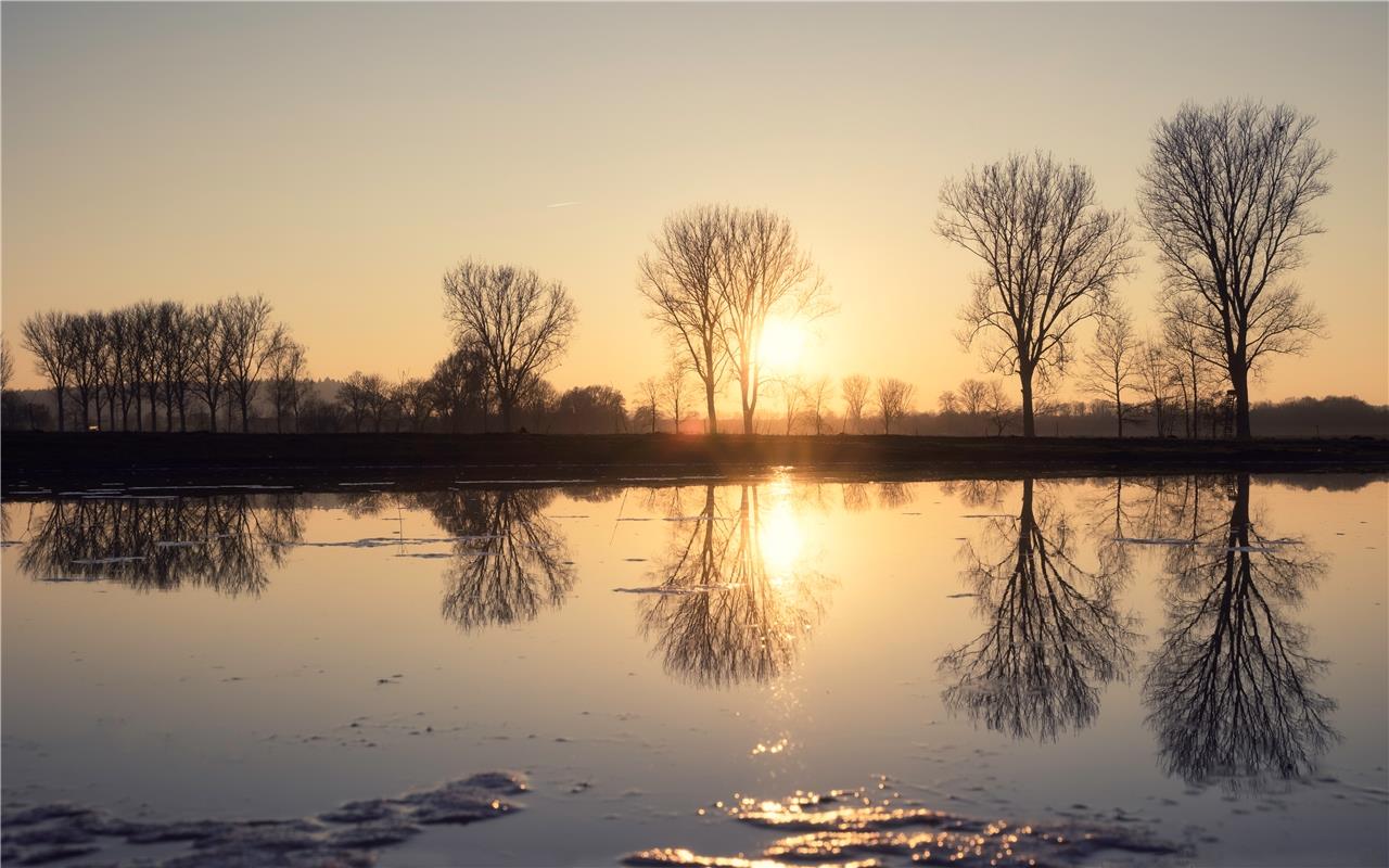 Das Bild wurde bei Sonnenuntergang an den Krebsbachauen in Rohrau aufgenommen – ...