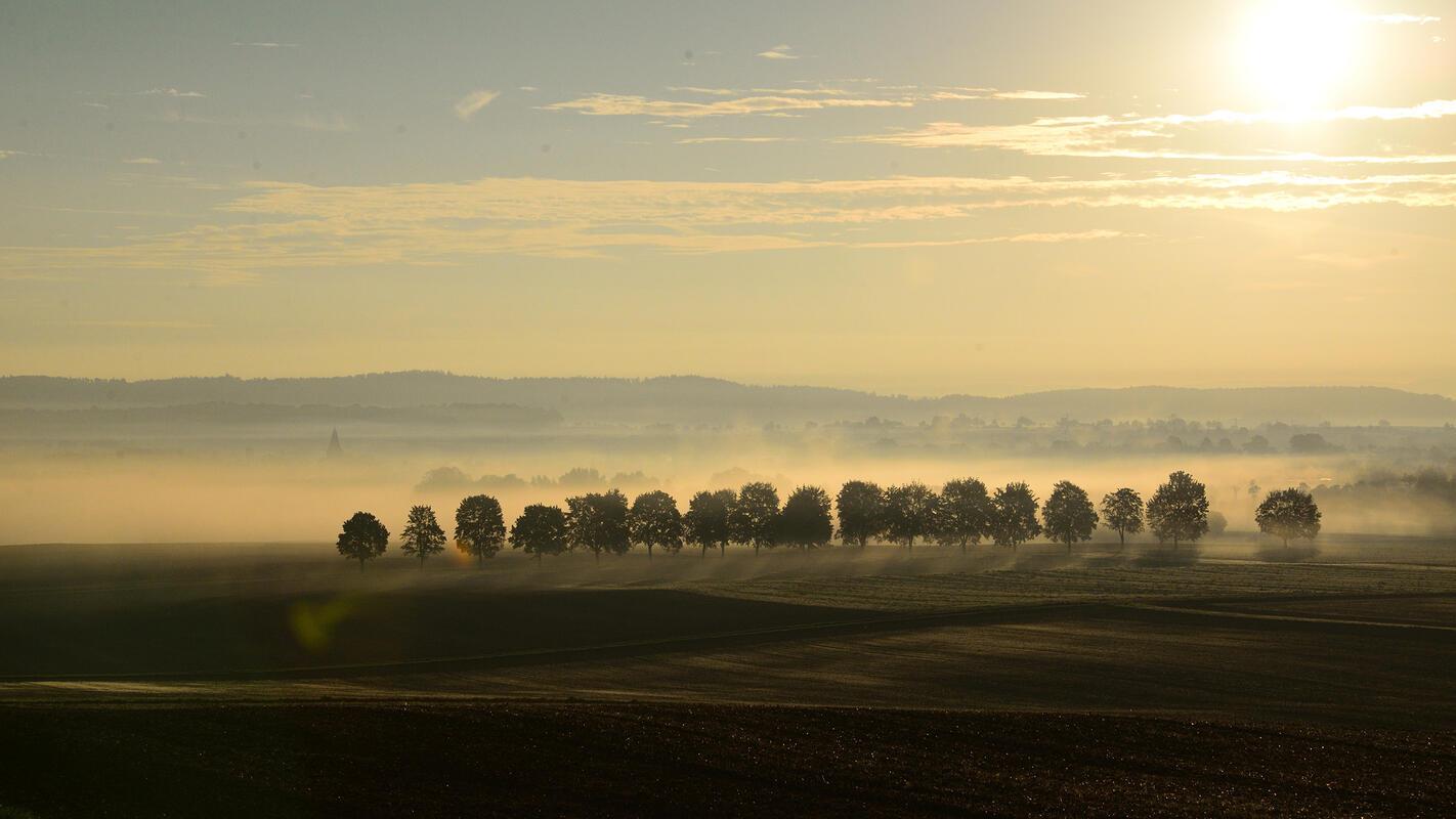 Das Bild zeigt das "Spiel von Licht und Nebel über Altingen". Man sieht gerade n...