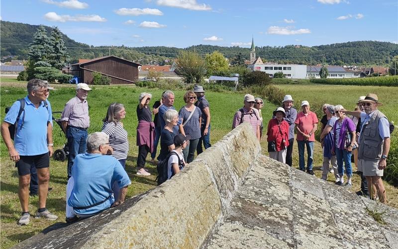 Das Brunnenhäusle ist wichtig für die Wasserversorgung des unweiten Dorfes. GB-Foto: Straub