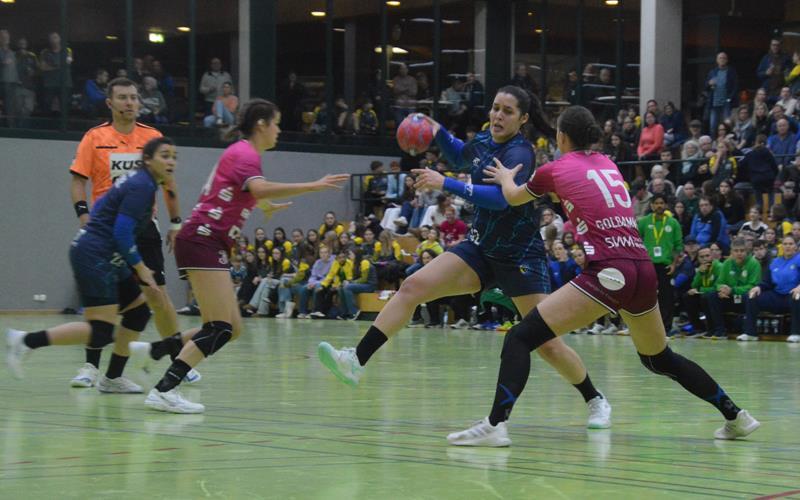 Das Duell des WM-Teilnehmers Brasilien (blau) gegen Metzingen lockte viele Zuschauer an. GB-Foto: Zvizdiç