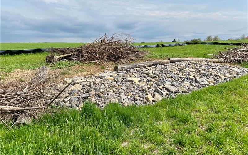 Das Ersatzhabitat für die Zauneidechsen wartet mit Holz- und Reisighaufen sowie Steinriegeln auf, die Stromleitungen (Bild rechts) sind dem Nabu ein Dorn im Auge. GB-Fotos: gb