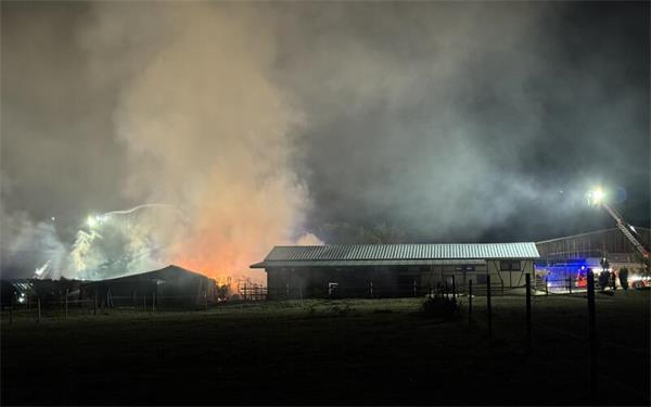 Das Feuer griff von einem Schuppen auf weitere Gebäude über. GB-Foto: SDMG/Dettenmeyer