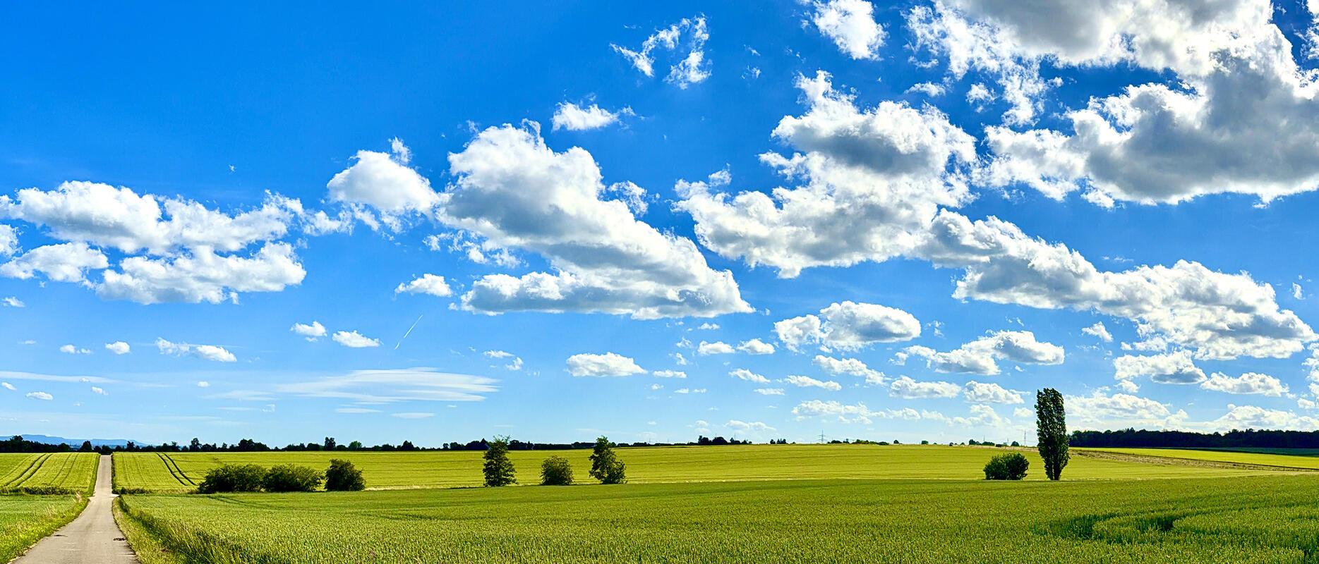 Das Gäu – Land der Weite.  Von Minja Rollinson aus Gäufelden.
