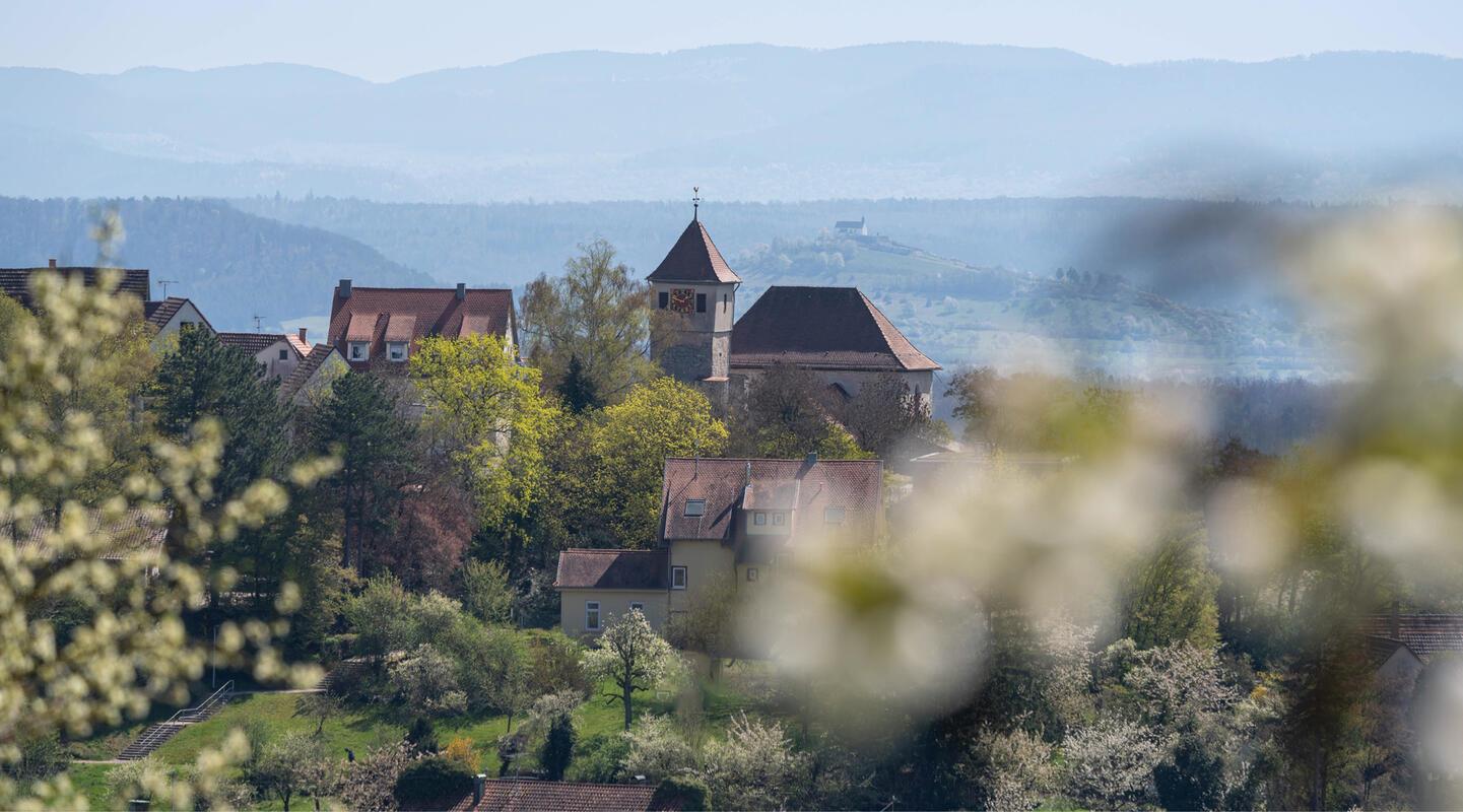Das Gäu im Blütenmeer.  Von Monika Suhm aus Gärtringen.