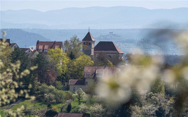 Das Gäu im Blütenmeer (aufgenommen von Monika Suhm aus Gärtringen)