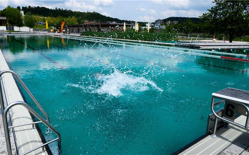 Naturbad schließt wegen Bakterien Das Herrenberger Naturbad hat erneut Keimprobleme GB-Foto: Schmidt