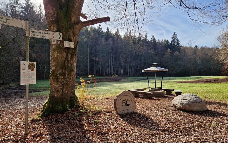 Das Kleindenkmal wurde am Walddorfer Brückle aufgestellt, wo drei der vier Naturpark-Landkreise aufeinandertreffen. GB-Foto: gb