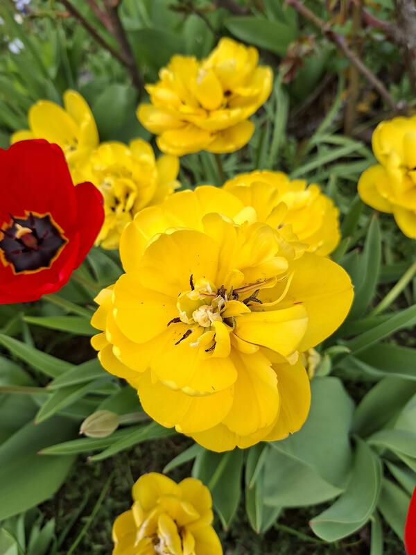 Das Leben ist bunt.  Von Maria Tabitha Weisse aus Herrenberg.