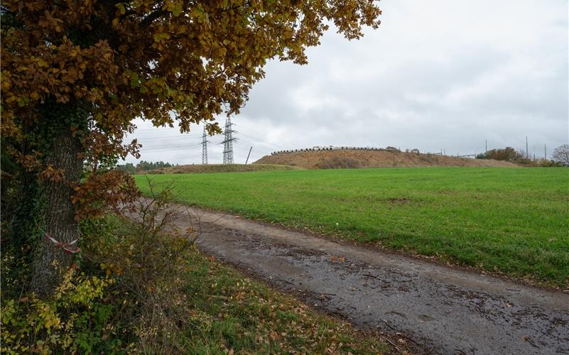 Das Oberjettinger Umspannwerk: Interessant als Standort für Batteriegroßspeicheranlagen.GB-Foto: Vecsey