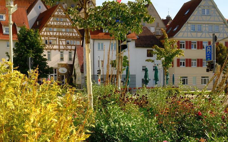 Das Projekt „bee green“ startet mit zwei Auftaktveranstaltungen. GB-Foto: gb